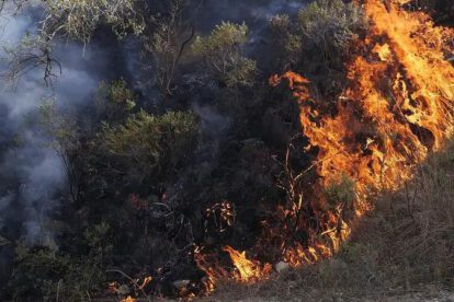 incendios forestales