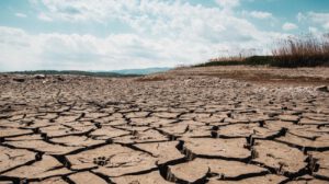 Suelo seco y profundamente agrietado