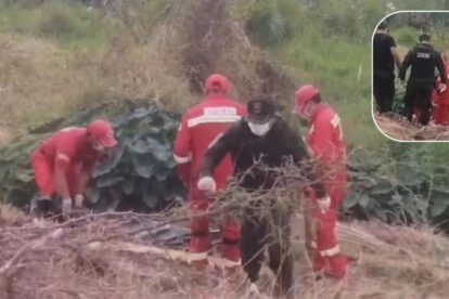 efectivos policiales retiran ramas y vegetación