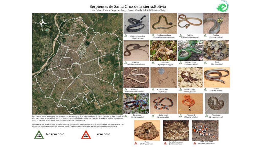 Especies de serpientes registradas