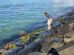 Un hombre  junto a la orilla del mar