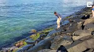Un hombre junto a la orilla del mar