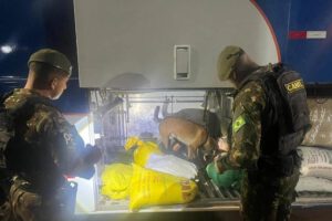Inspección militar en la frontera con perro detector de drogas
