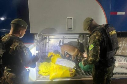 Inspección militar en la frontera con perro detector de drogas