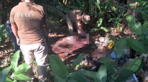 Hallazgo de cuerpos en Yapacaní