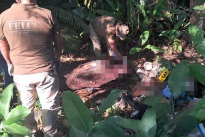 Hallazgo de cuerpos en Yapacaní