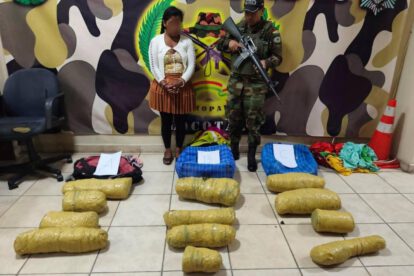La aprehendida junto a los 12 paquetes de marihuana