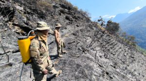 Efectivos de la UMEE y bomberos voluntarios