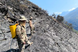 Efectivos de la UMEE y bomberos voluntarios