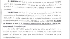 imagen de auto constitucional