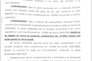 imagen de auto constitucional