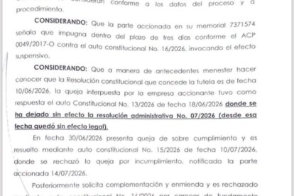 imagen de auto constitucional