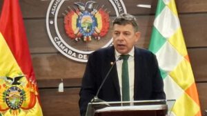 El presidente del Senado en conferencia de prensa
