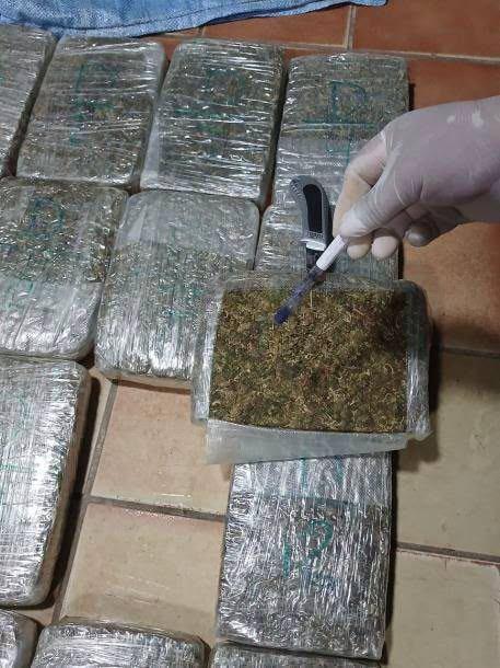 tráfico marihuana