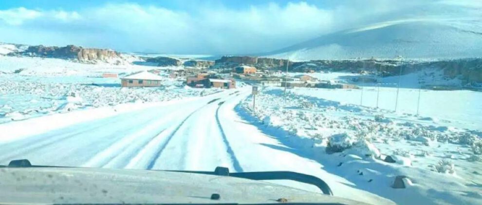 Camino con nieve