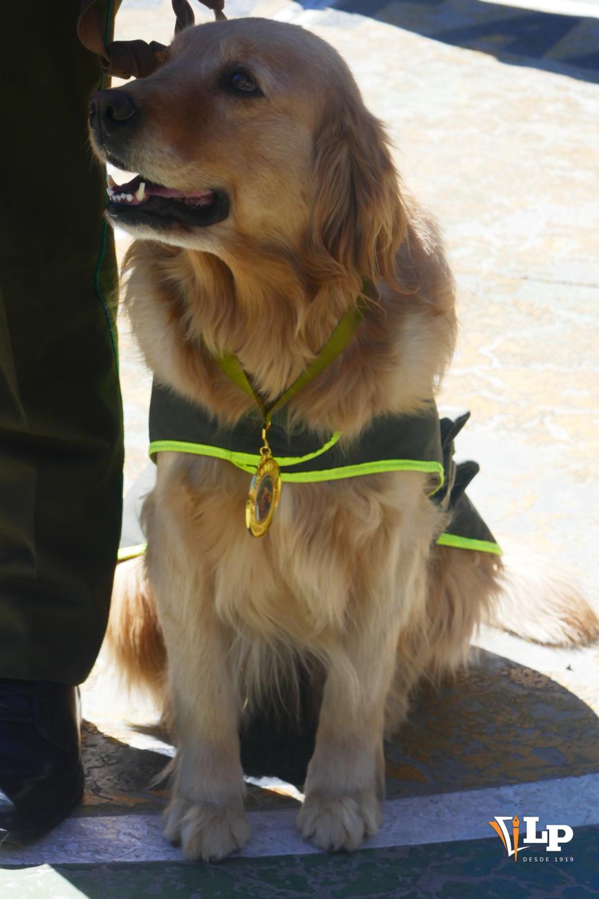 Mirada atenta y medalla al pecho tras años de gran servicio