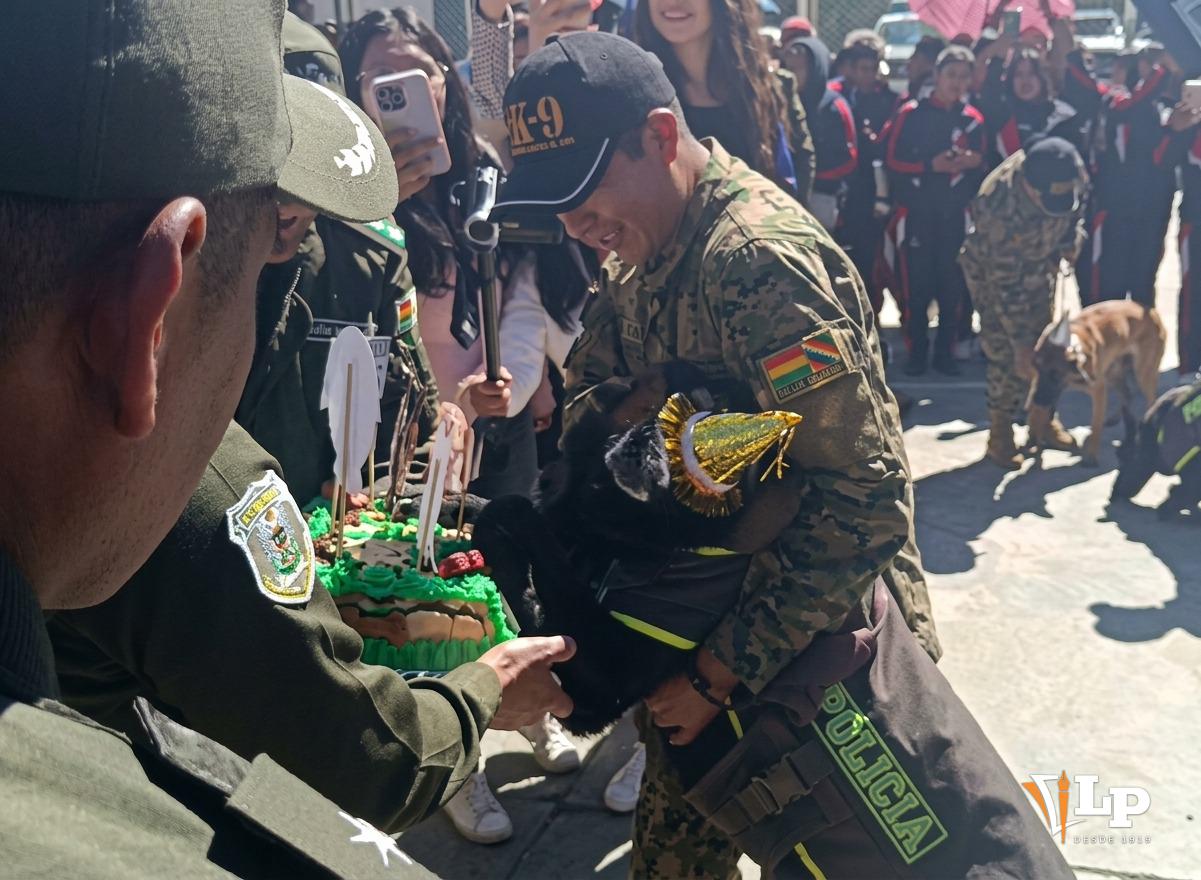 Muerde la torta de celebración
