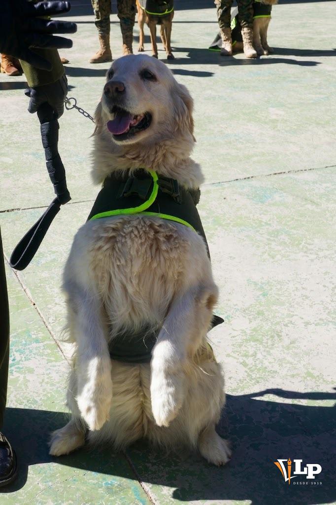 Un tierno saludo en pie para despedirse del servicio activo