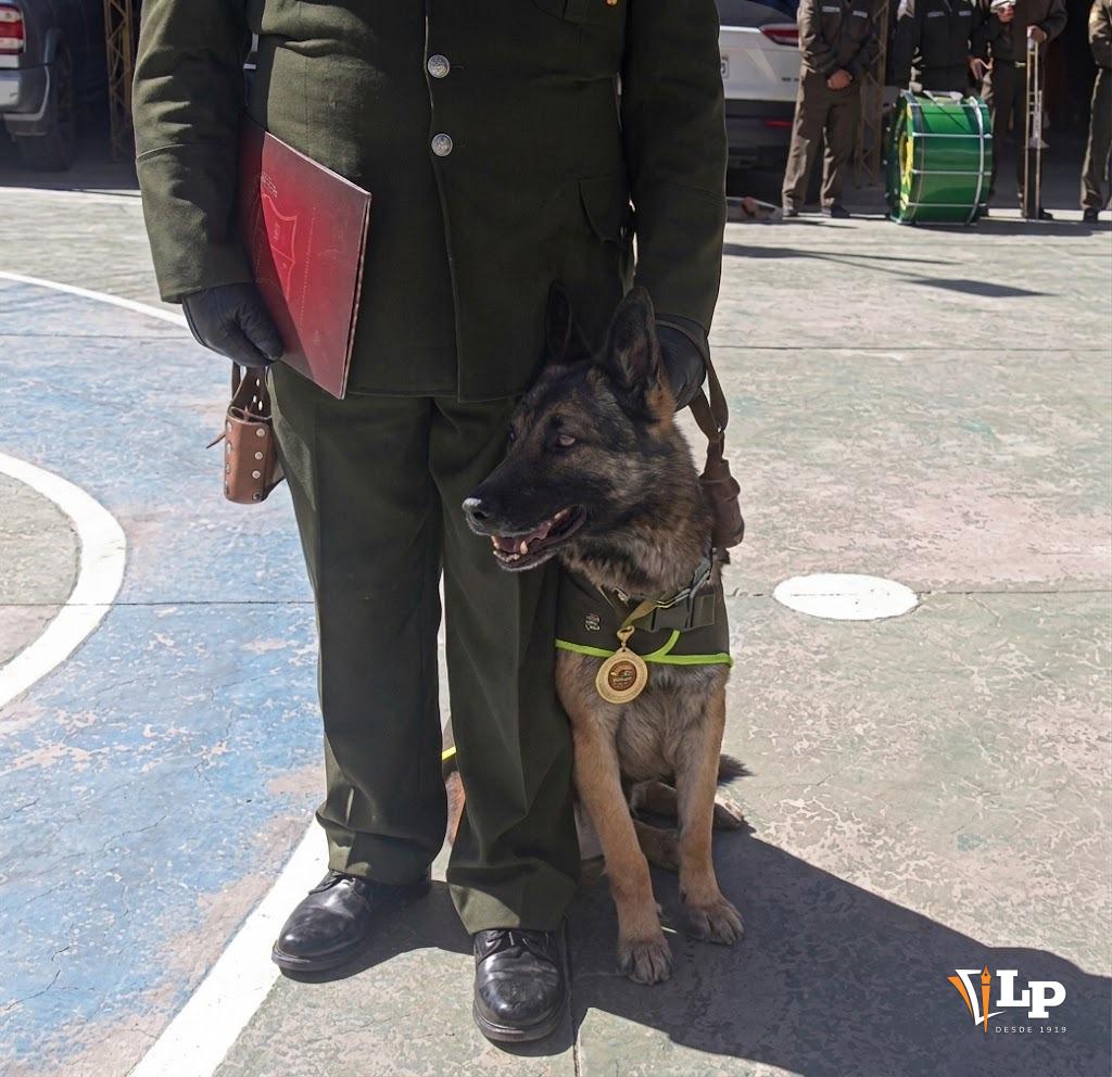 Orgullo y medalla al pecho en su ceremonia de despedida