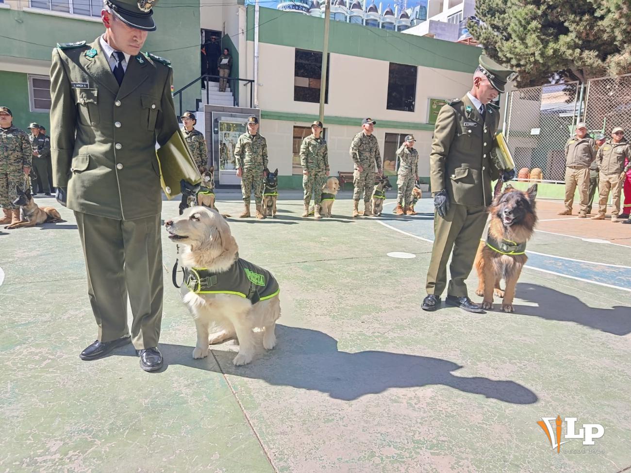 La elegancia de los veteranos en el campo