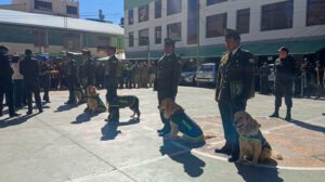 La formación de honor en el patio de honor de la institución
