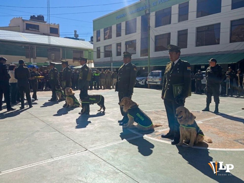 La formación de honor en el patio de honor de la institución