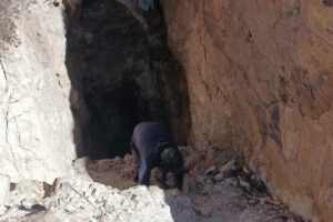 bocaminas Oruro