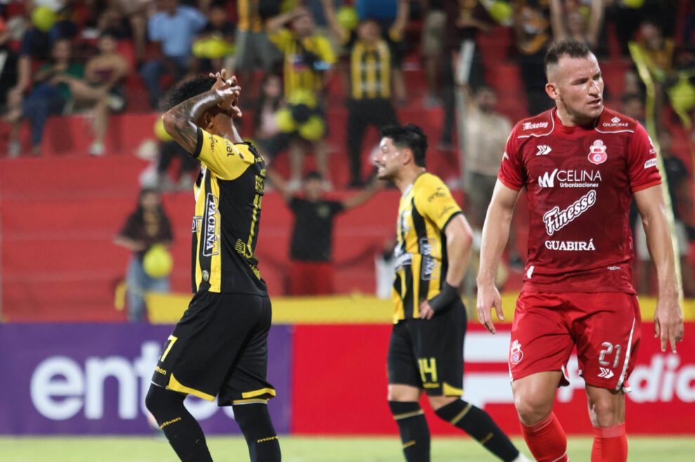 imagen del partido