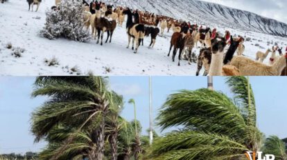 vientos y nevada