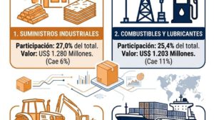 Principales productos importados el primer semestre de 2026