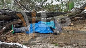El cuerpo de la víctima cubierto bajo ramas caídas