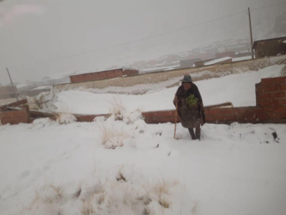 Una señora en la nevada