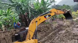 excavadora