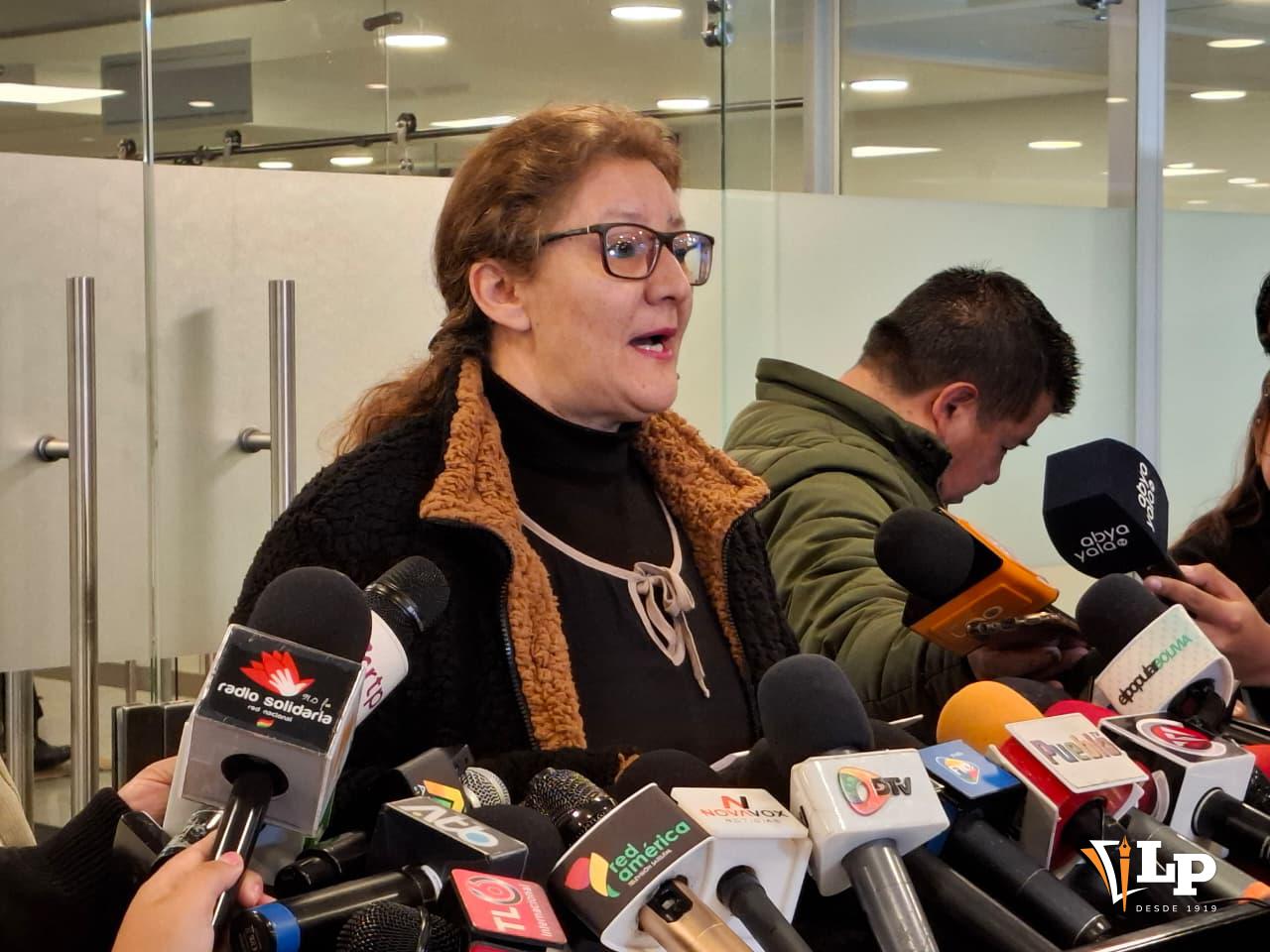 La diputada Gareca en conferencia de prensa