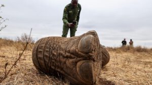 Una persona con un elefante