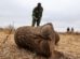 Una persona con un elefante