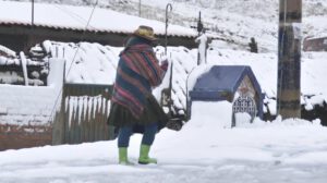una señora en nevada