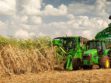 Productores arroceros