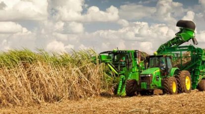 Productores arroceros