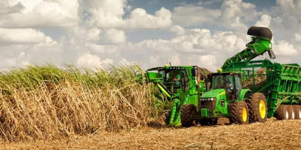 Productores arroceros