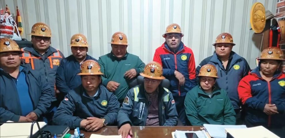 fedecomi potosí