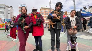 Mascotas