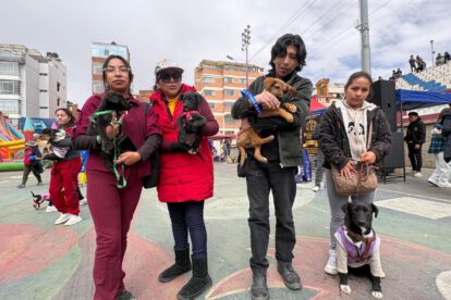 Mascotas