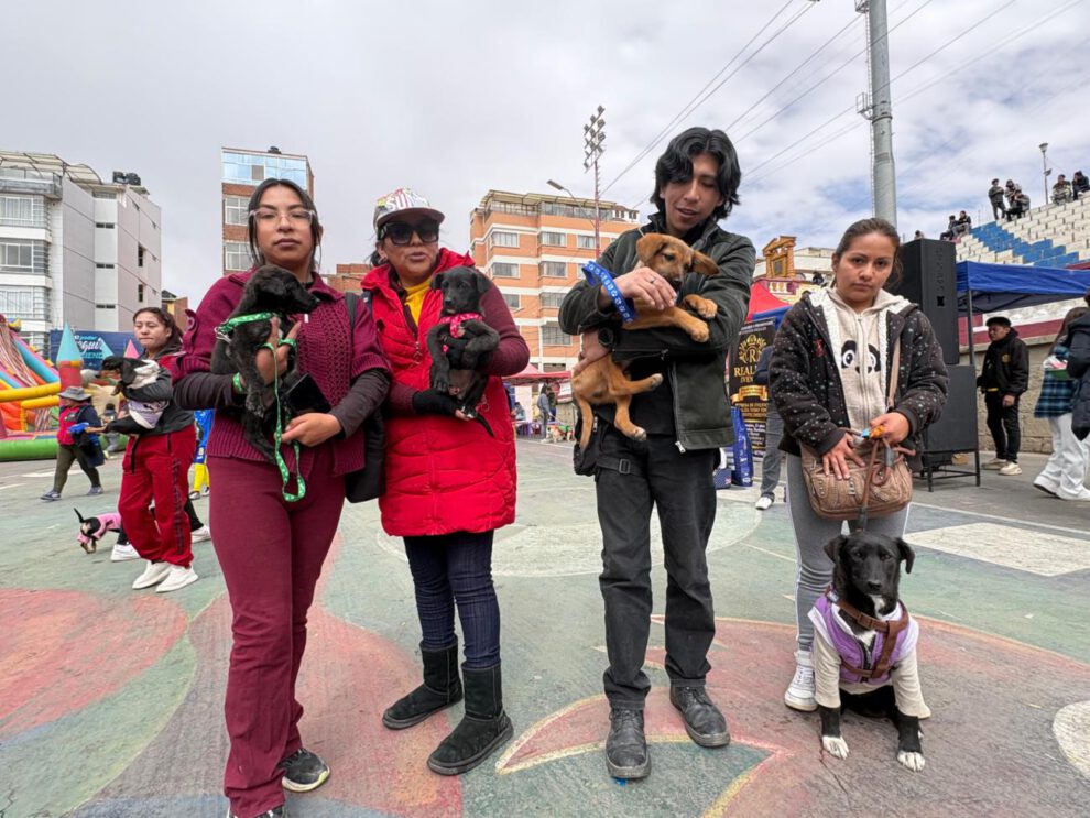 Mascotas