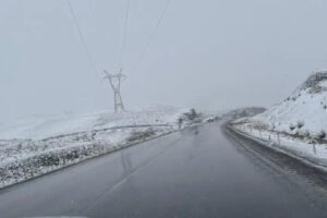 Paisaje nevado