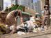 Trabajadores recogiendo basura