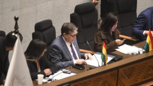 El ministro de Hidrocarburos respondió 37 preguntas ante el Parlamento
