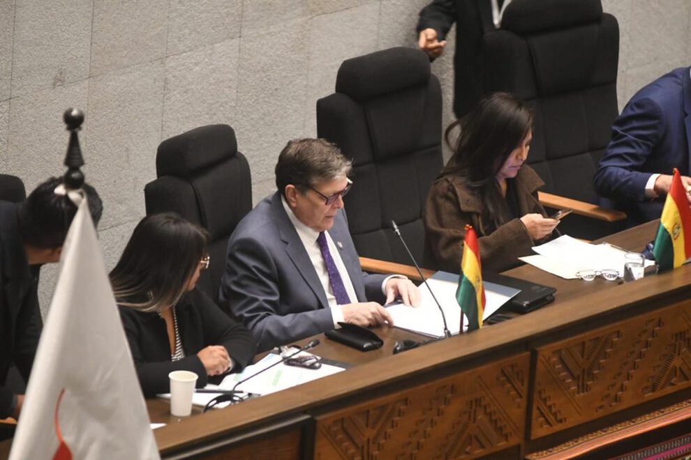 El ministro de Hidrocarburos respondió 37 preguntas ante el Parlamento