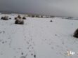 nevada en el departamento de Oruro