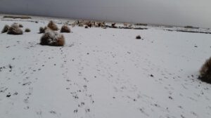 nevada en el departamento de Oruro